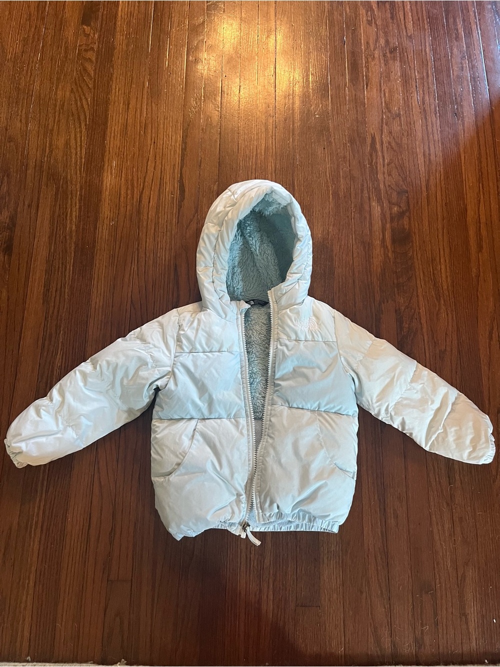 The North Face Kids Pale Blue Hooded Puffer Jacket